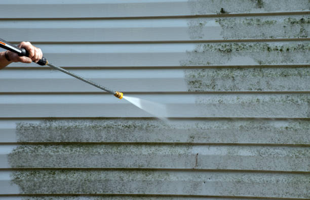 Best House Exterior Washing  in Poseyville, IN
